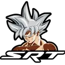 SRTGoku