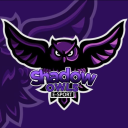 SHADOW   OWLS