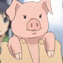 Jopig's Pig Pen