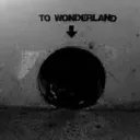 bunny's home
