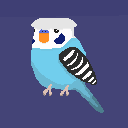 Bird Heaven ✧