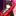 Big Anime Tiddy Committee's icon