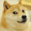 DogeFamily