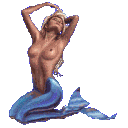 𝗕𝗭𝗚