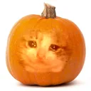Mashows (Official) Discord server