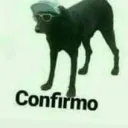 reunião de agiota