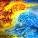 Colliding Worlds