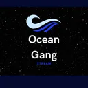 The Ocean Gang