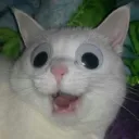 暇人