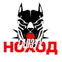 Галзуу Ноход