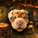 Fleece Mane Tavern