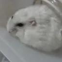 た。のサーバー