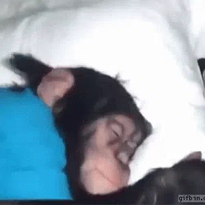 GACHI MUCHI FAMLY — Дискорд Сервер