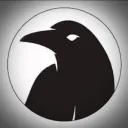 Blind Raven Gaming