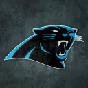 Carolina Panthers Fans