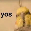 Avian Gang