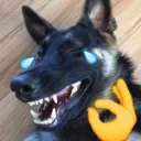 Waiting Room - Furry Artist Community