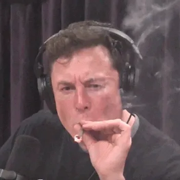 ✨Peculiar Club✨ — мониторинг Discord сервера, статистика и рейтинг