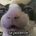 encebollado-sin-cebolla