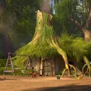 The Home