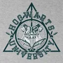 Hogwarts University