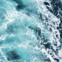 🌊・𝘰 𝘱 𝘢 𝘭 𝘪 𝘵 𝘦 Discord server icon