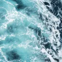 🌊・𝘰 𝘱 𝘢 𝘭 𝘪 𝘵 𝘦
