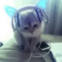 no