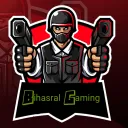 Bihasral Gaming's server