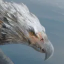 Team Crow
