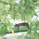 K-αиιмє Haven Discord Server Icon