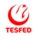 TESFED TÜRKİYE KUPASI