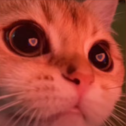 🌙 Horizon' Community™ - discord server icon