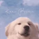 kinnie reserve - NO LONGER ACTIVE