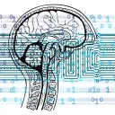 Python for Neuroscience