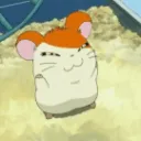 とっとこ！🐹