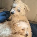 /r/Dueling
