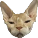 Nudie Kingdom Gaming