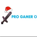 Pro Gamer Community