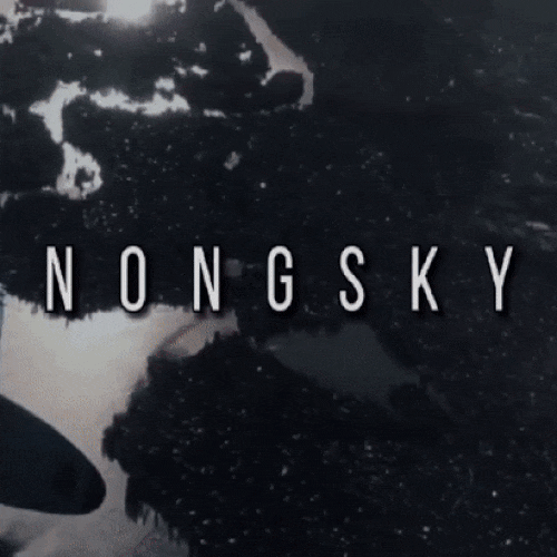Logo for N O N G S K Y