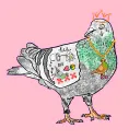 sexy pigeon