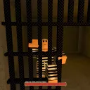 Rogue Prison Info