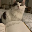BOTM Reading Buddies