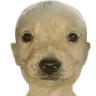 En la fiesta del tilín, me encontré al Ete Sech - discord server icon