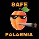 Palarnia