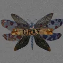 team gray🧦