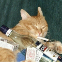 Chill Chatting Server Icon