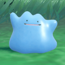 Discovery icon for morebreedingdittos Discord server