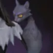 Ann's Cat