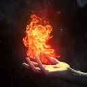 The Show